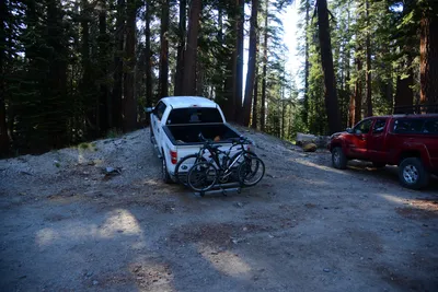 DSC_9951 (Large).JPG